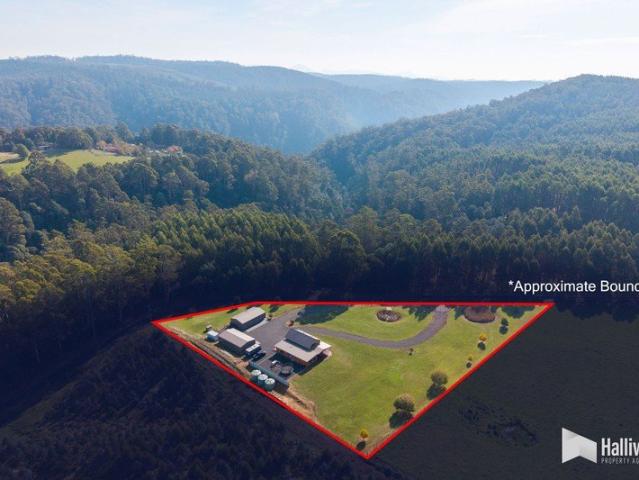 Versatile Country Living with Exceptional Shedding & Lifestyle Appeal