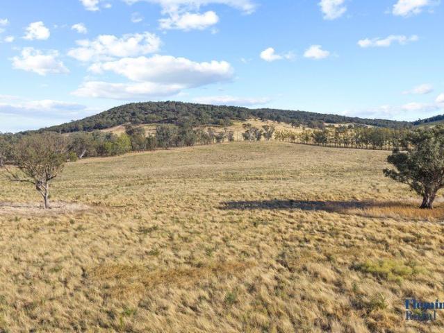 Versatile Cropping & Grazing Opportunity in the Boorowa District