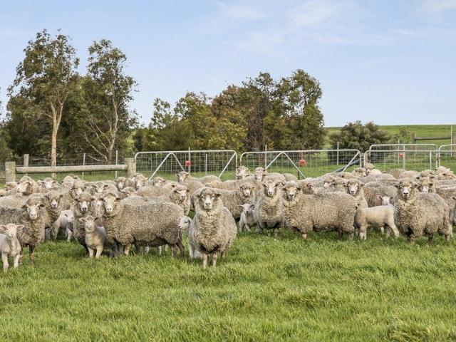 VERSATILE BEEAC / CUNDARE DISTRICT FARMING PROPERTY