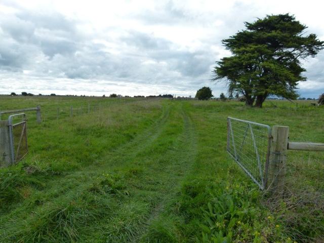 Versatile Grazing Country with Cropping Potential Near Millicent