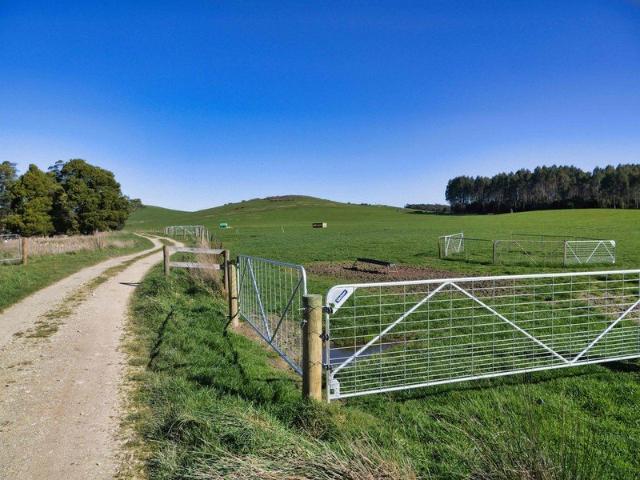 Versatile Dairy Run Off, Lifestyle or Beef Holding in High Rainfall