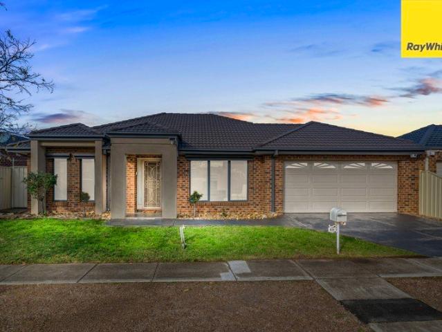 Versatile Family Home with Alfresco Entertaining and Rear Access
