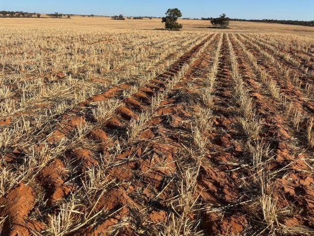 Versatile Mallee Opportunity