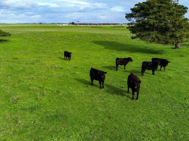 Versatile South East Holding with Extensive Infrastructure & Secure Water