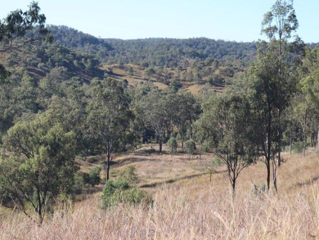 Versatile & Productive Fantastic Starter or Lifestyle Property