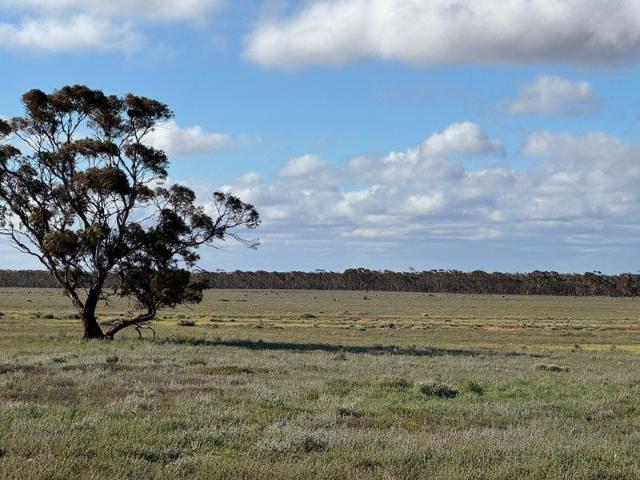 Versatile rural holding suitable for grazing and farming