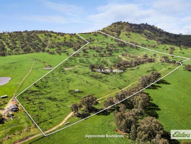 Versatile Rural Land with Endless Lifestyle & Farming Potential