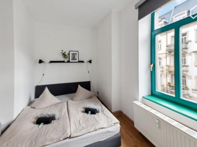 Vinatage Chic Apartment, Dresden Amsterdam Apartments for Rent