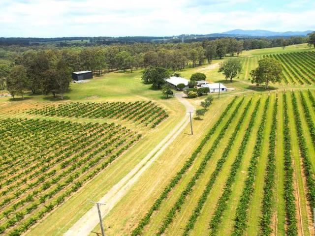 Vineyard Escape Hunter Valley Wine Country