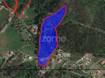 'Vinha de Cima' Terreno em Santa Comba, Cabeceiras de Basto