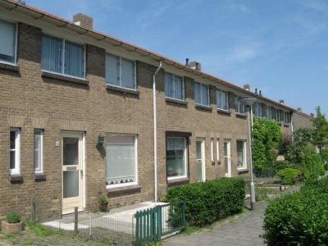 Violenstraat 38