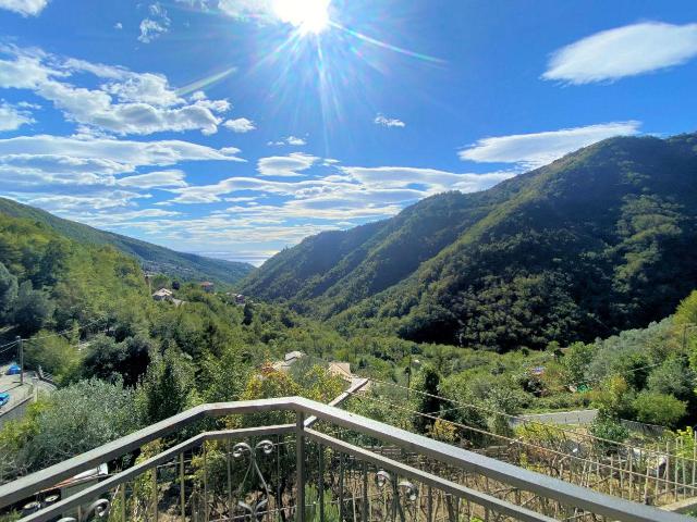 Via alla Località Castagnola 66 12 vani 150mq