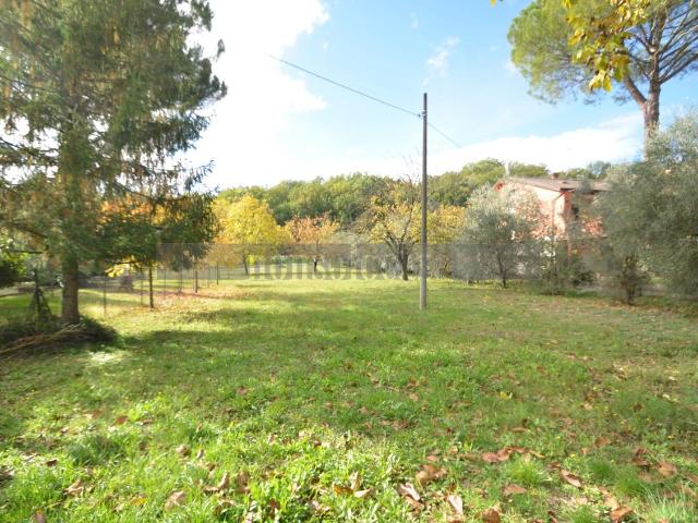 Via della Pieve di Campo 3 bilocale 1750mq