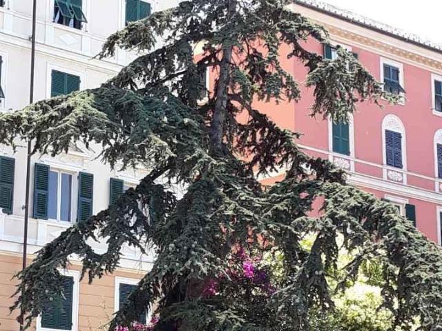 Via delle Cappuccine 7 vani 129mq