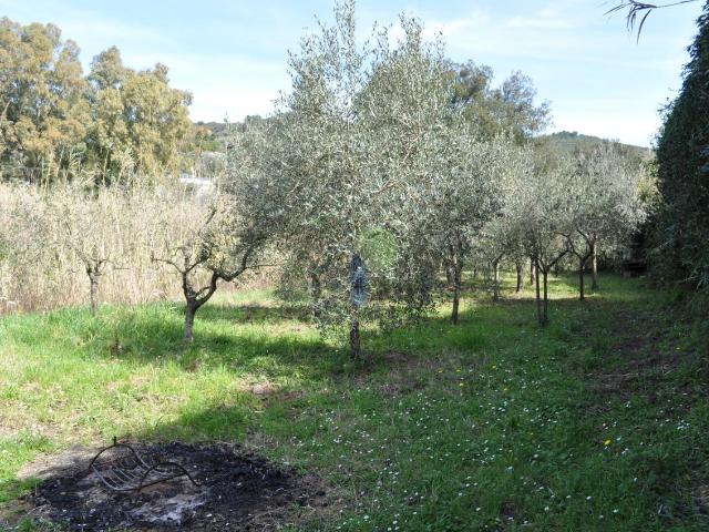 Via di Popogna 441 800mq
