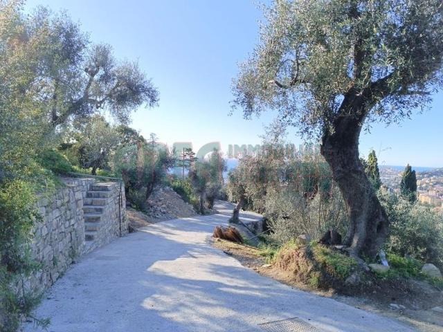 Via Fanny Roncati Carli 2 5 vani 110mq