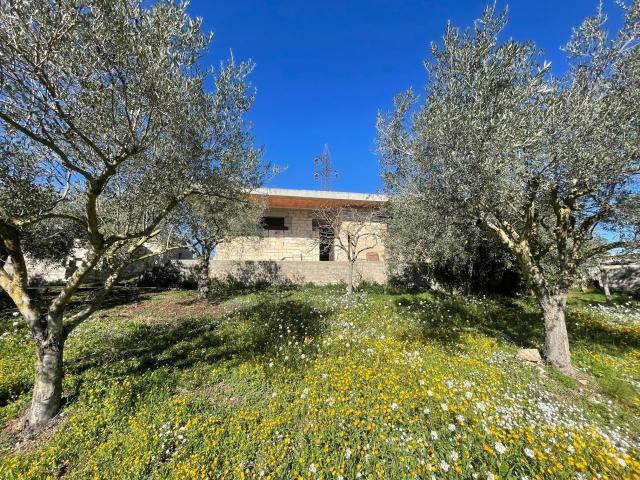 Via Loreto Gallinara bilocale 140mq