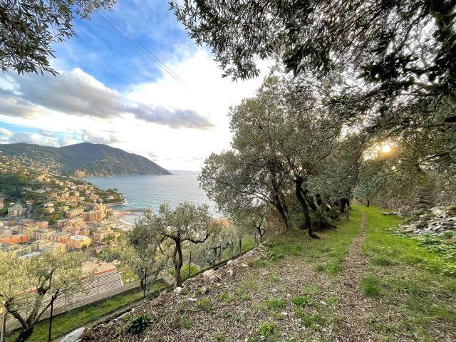 Via alla Pineta 2 5 vani 1520mq