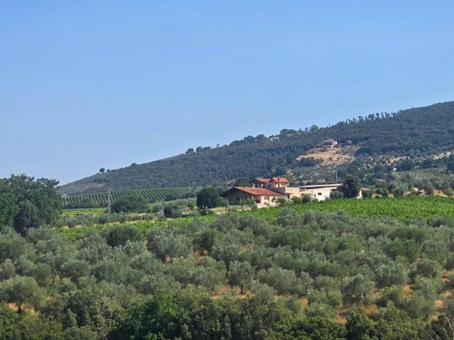 Via Selvarella 2 6 12 vani 300mq