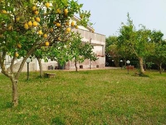 Via Silene 30B 12 vani 252mq