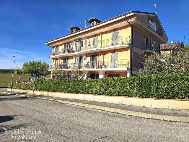 Via Paolo Ceccarelli 11 5 vani 95mq