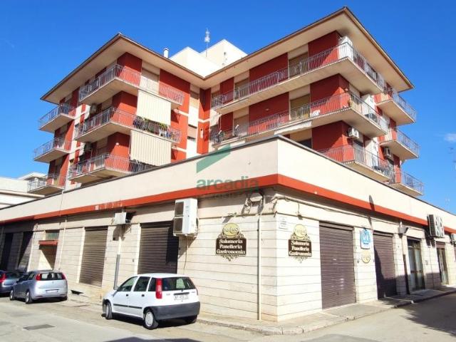Via Pietro Carenza 20 114 5 vani 181mq