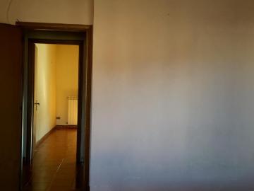 Via Raffaele Garofalo, Zona XV, Roma, Roma Lazio, Lazio