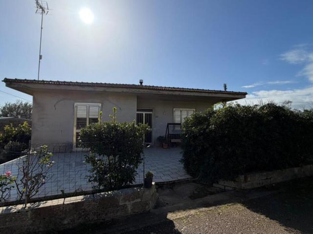 SP94 223 26 9 vani 200mq