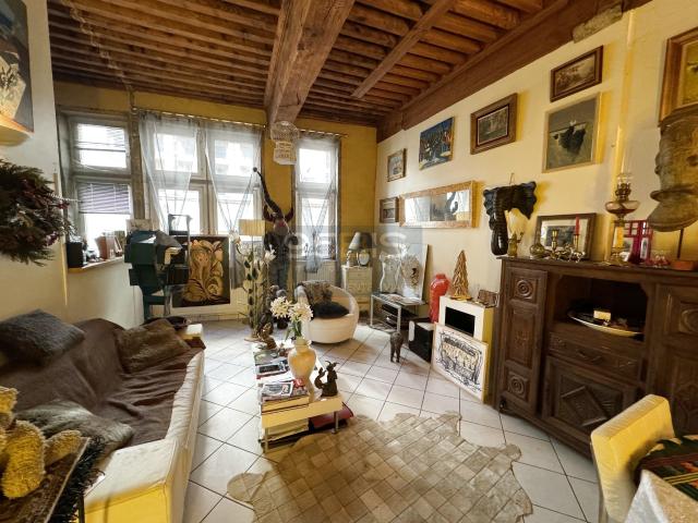 VIAGER OCCUPE SANS RENTE Appartement Lyon 01