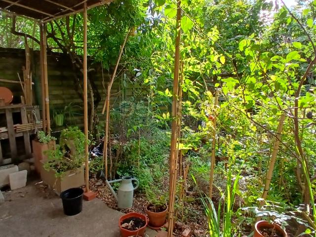 VIAGER OCCUPE SANS RENTE. Rez de jardin Montchat