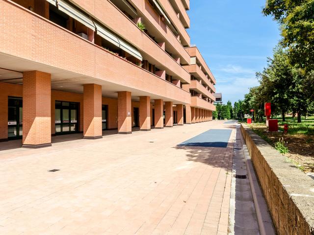 Viale Angelo Masini