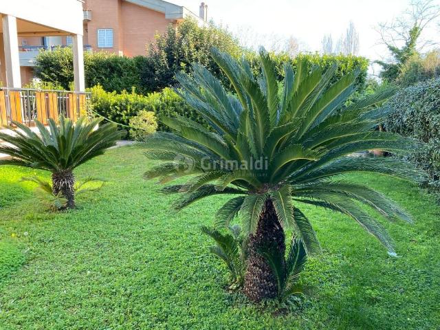 Viale delle Ginestre 60 7 vani 210mq