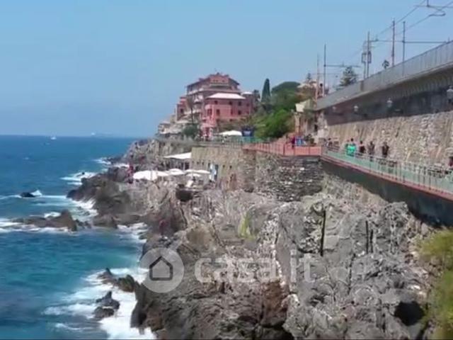 Viale delle Palme, Genova GE