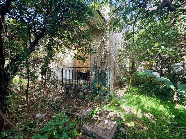 Viale Scala Greca 53 6 vani 190mq