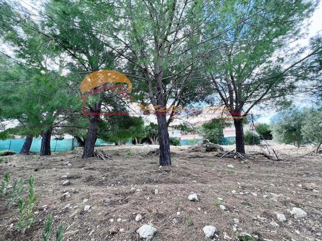 VIALE SCALA GRECA 700mq