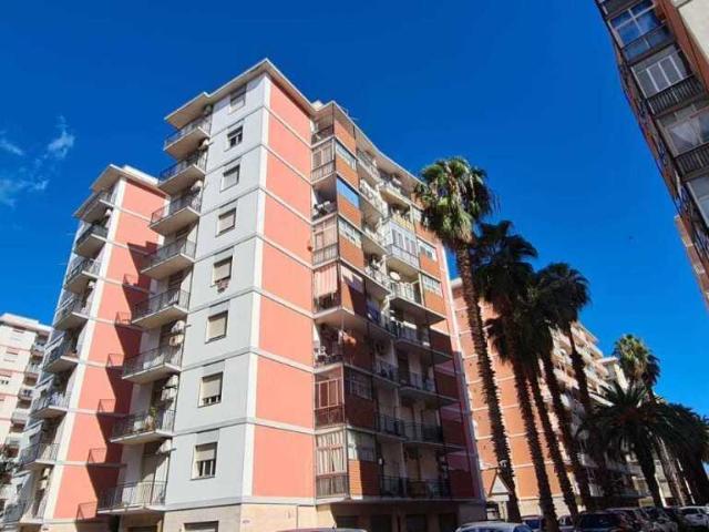 Viale Santa Panagia 50 bilocale 40mq