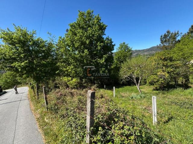 Viana do Castelo Arcos de Valdevez 4970 104972122
