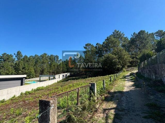 Viana do Castelo Arcos de Valdevez 4970 105377510