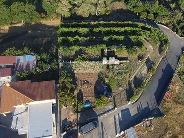 Viana Do Castelo Viana Do Castelo 100021250