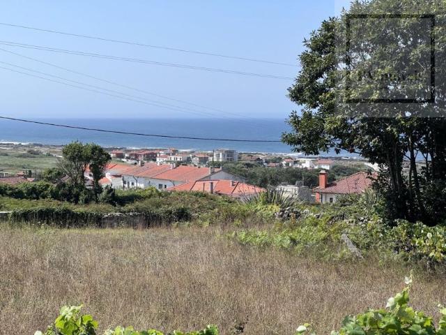 Viana do Castelo Viana do Castelo 4900 105071505