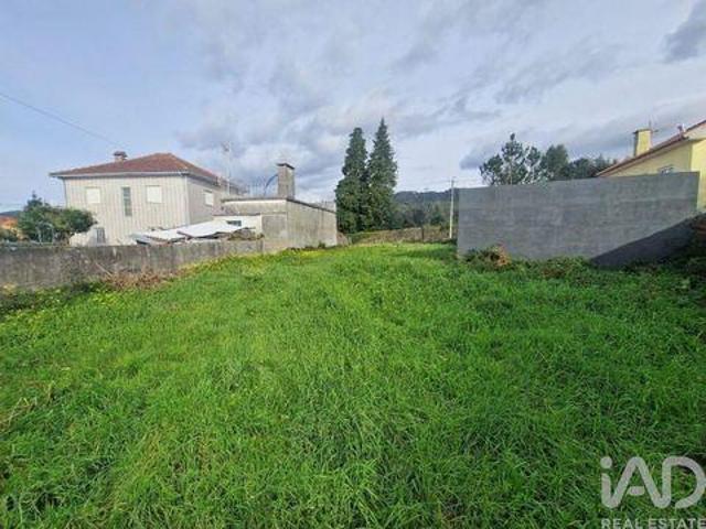 Viana Do Castelo Viana Do Castelo LS98547080
