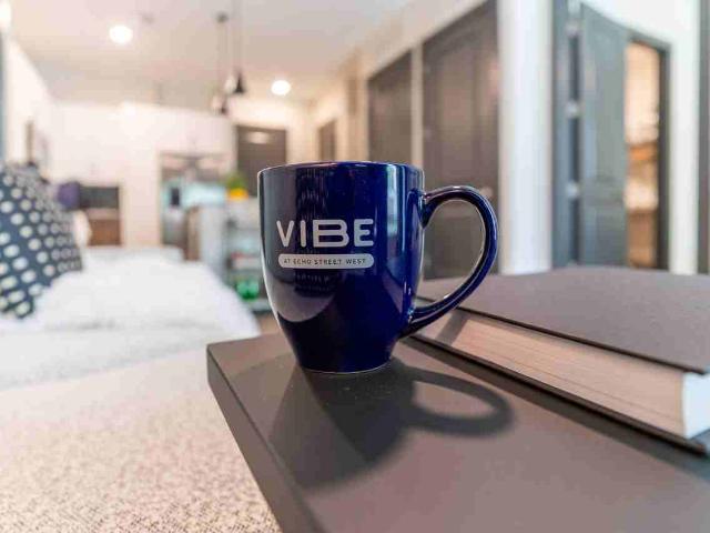 Vibe at Echo Street West 2 Bedroom Apartment for Rent at 750 Echo St Nw, Atlanta, GA 30318 English Avenue