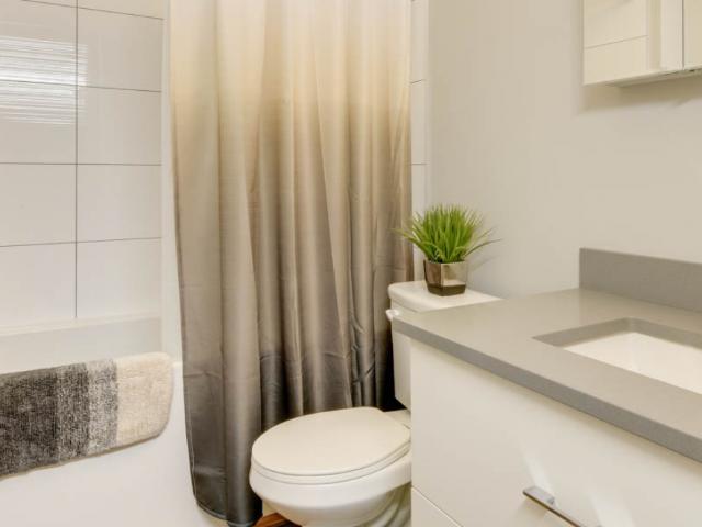 Vibe Lofts 1 Bedroom Apartment for Rent at 10620 116 St Nw, Edmonton, AB T5H 0P3 Queen Mary Park