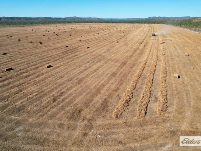 VICTORIA DOWNS One of the Northern Territory's quality emerging fodder and agricultural enterprises