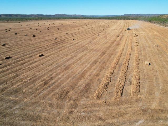 VICTORIA DOWNS One of the Northern Territory's quality emerging fodder and agricultural enterprises!