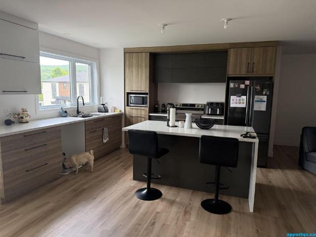 Victoriaville – Spacieux appartement 4 1/2 à louer mois d’août GRATUIT!