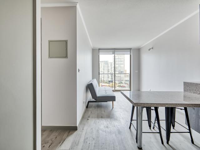 Vicuña Urban [1322 16]
