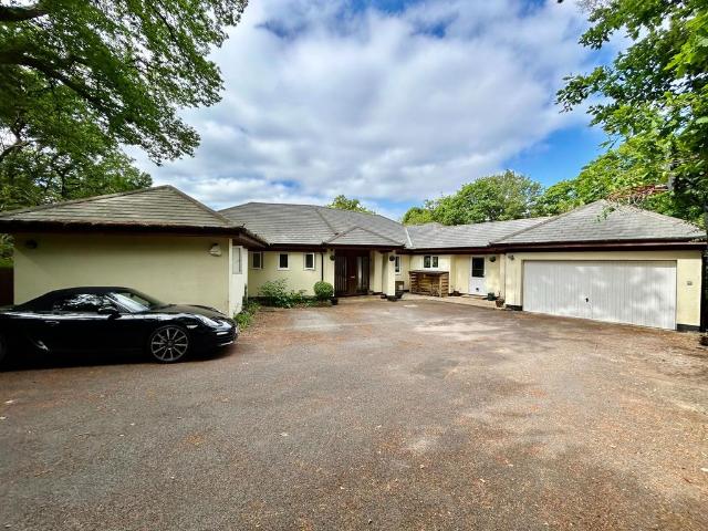 Vicarage Hill, Farnham 5 bed detached house to rent £4,900 pcm £1,131 pw
