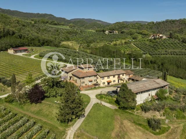 Vicchio, Mugello, prestigiosa azienda agricola vitivinicola. 1000m² Vicchio