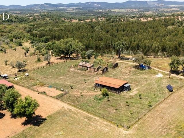 Vida autossuficiente em Portugal: Propriedade de 3,25 ha for. 200m² Relíquias